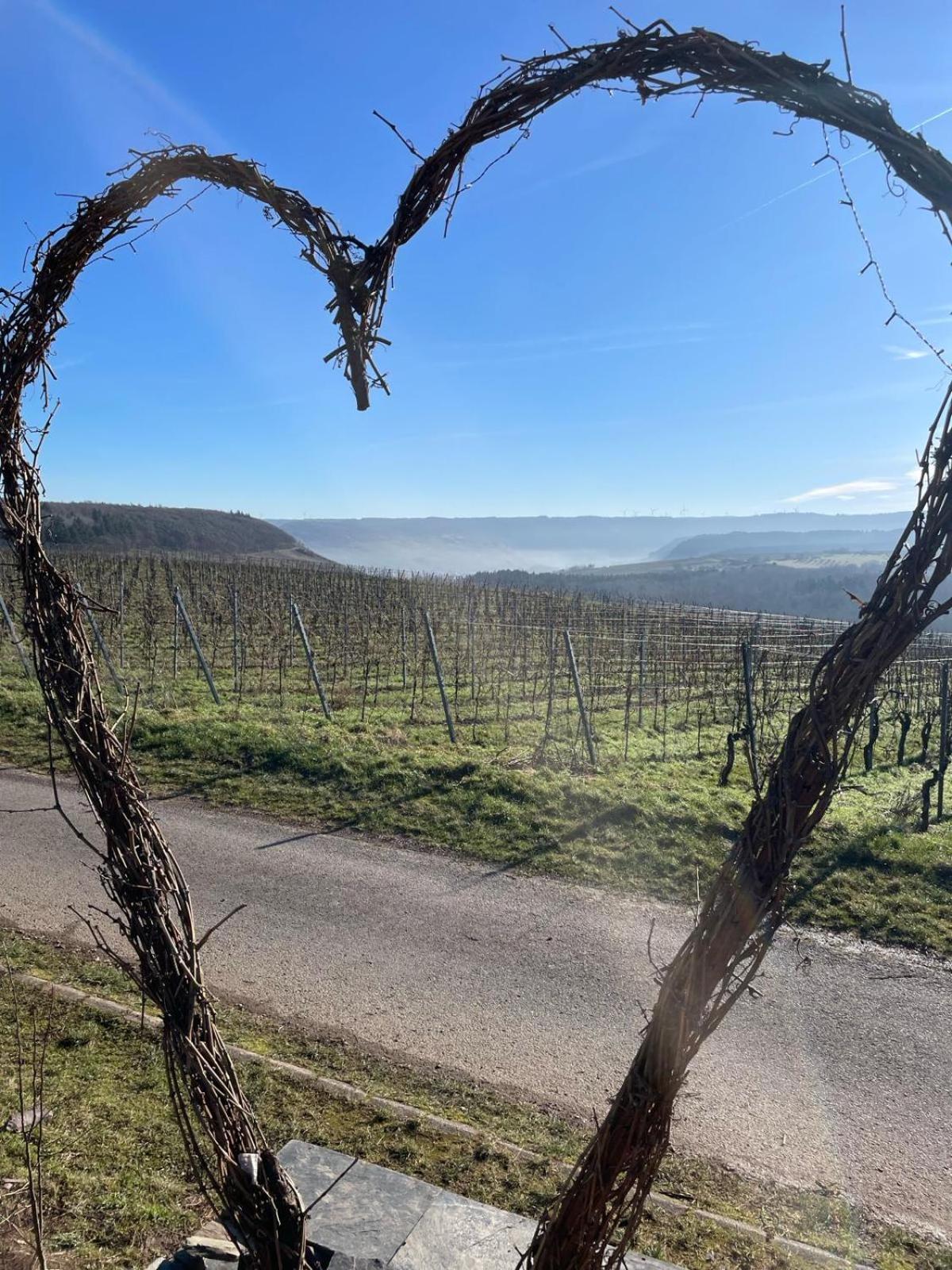 Neue Fewo Mit Schlossblick - Urlaub Im Wein- Und Ferienort Bekond Esterno foto
